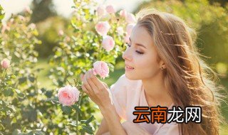 小学六年级借景抒情的句子 哪些句子可以表达出借景抒情的意思