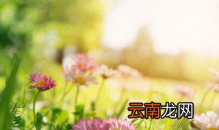 写天气极佳的句子 描写天气好的唯美句子