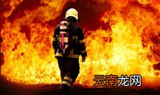 关于森林防火的资料 有关森林防火的资料