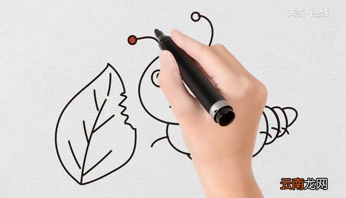 吃草的虫子简笔画教程吃草的虫子简笔画步骤