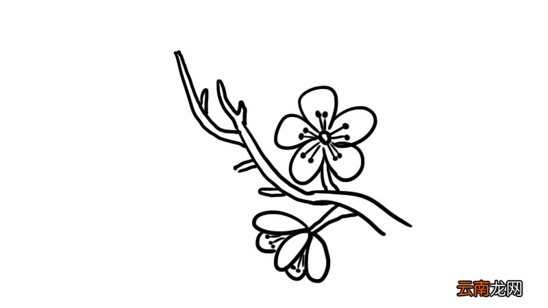 武汉樱花简笔画怎么画武汉樱花简笔画画法