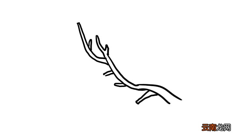 武汉樱花简笔画怎么画武汉樱花简笔画画法