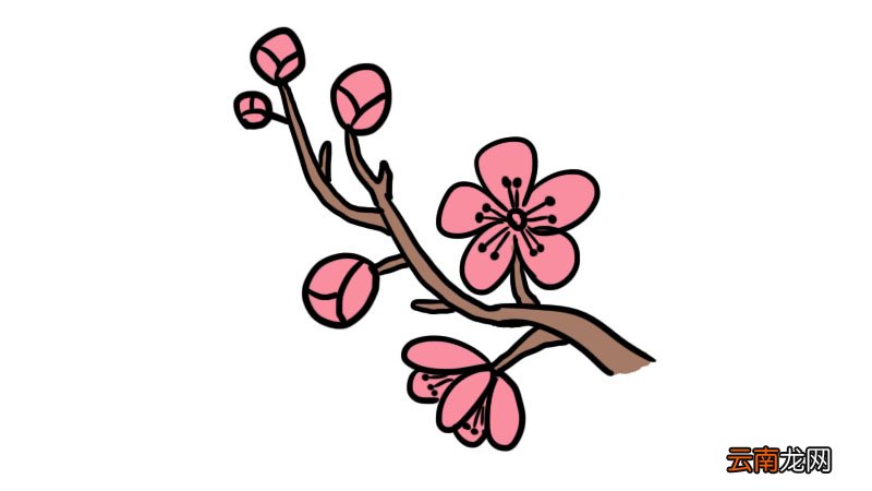 武汉樱花简笔画怎么画武汉樱花简笔画画法