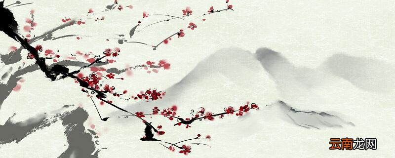 雪梅和题西林壁的相同之处和不同之处 雪梅和题西林壁的相同点和不同点