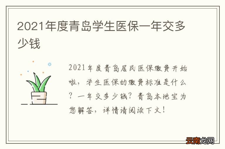 2021年度青岛学生医保一年交多少钱