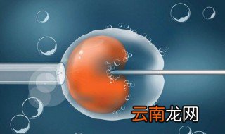 试管婴儿怎么做的全过程 试管婴儿过程揭秘