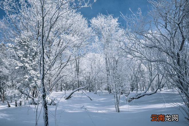 东北最出名的一座山，冬天山顶的气温-40度，山顶妖风能把人吹跑