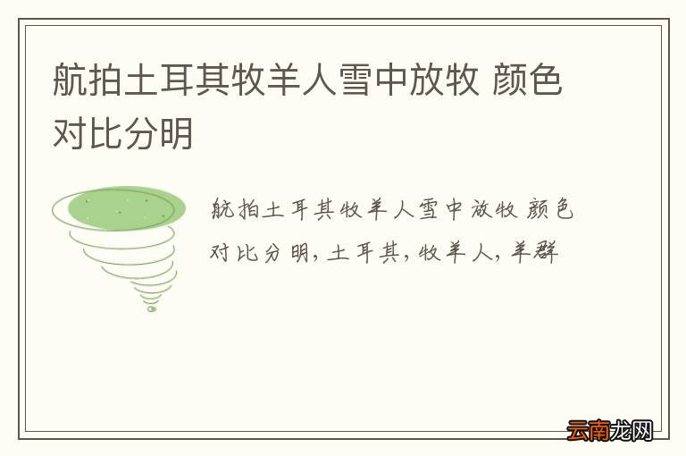 航拍土耳其牧羊人雪中放牧 颜色对比分明