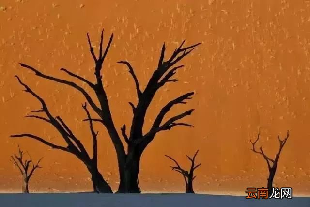 世界上最神奇的20张照片,看完怀疑自己的眼睛!