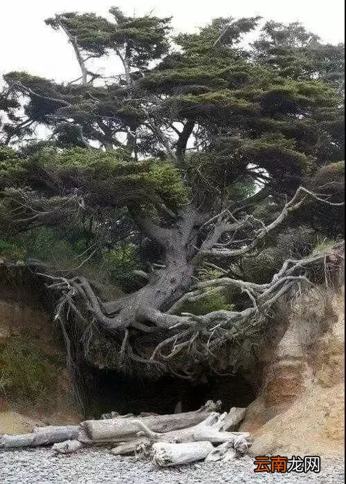 世界上最神奇的20张照片,看完怀疑自己的眼睛!