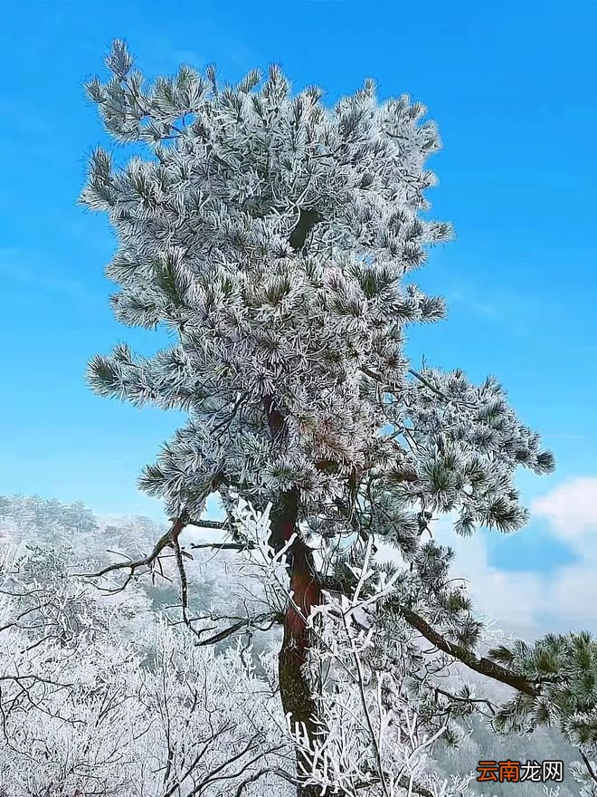 终于等到你！雪后的浙江，美上了热搜！