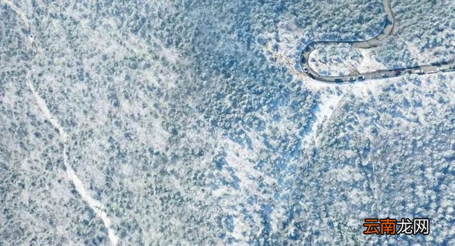 终于等到你！雪后的浙江，美上了热搜！