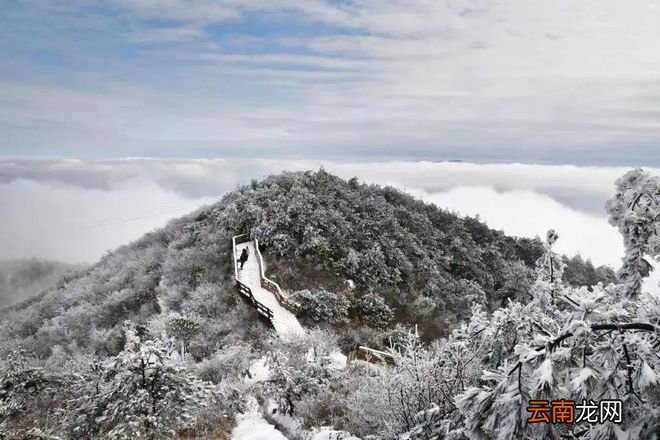 终于等到你！雪后的浙江，美上了热搜！