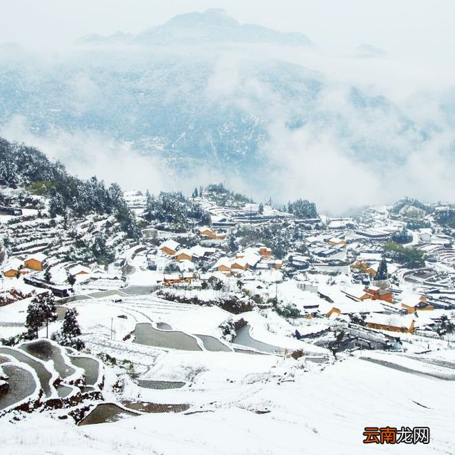 终于等到你！雪后的浙江，美上了热搜！