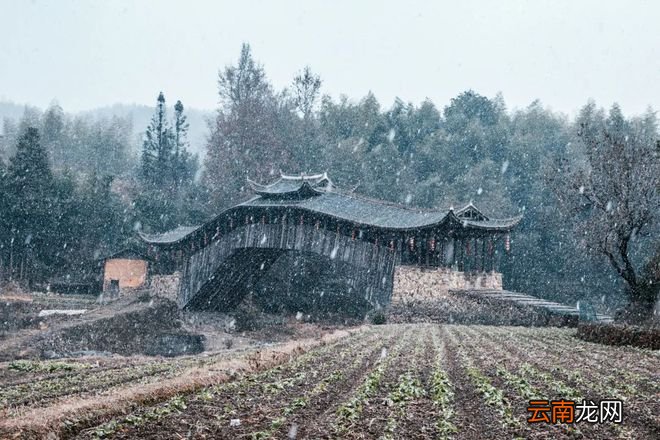 终于等到你！雪后的浙江，美上了热搜！