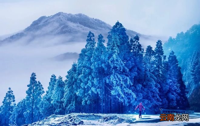 终于等到你！雪后的浙江，美上了热搜！