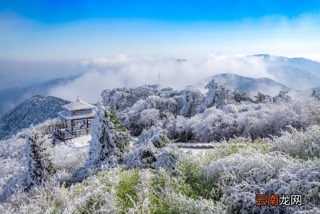 终于等到你！雪后的浙江，美上了热搜！