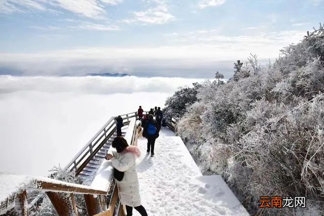 终于等到你！雪后的浙江，美上了热搜！