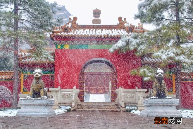 终于等到你！雪后的浙江，美上了热搜！