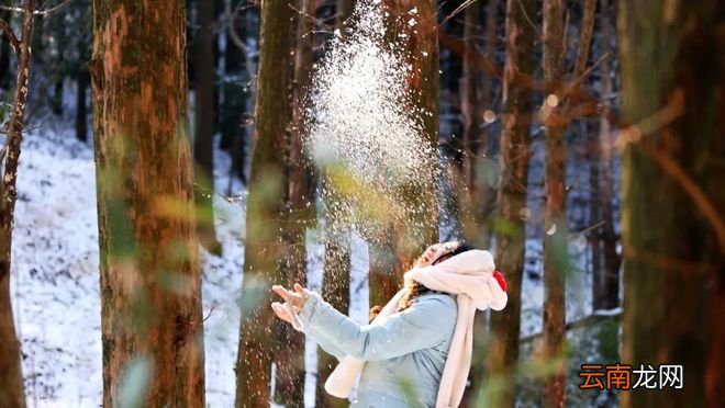 终于等到你！雪后的浙江，美上了热搜！