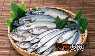 海鱼最正宗的做法 好吃又简单