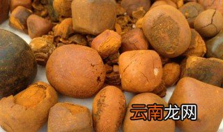 天然牛黄长什么样 什么是牛黄