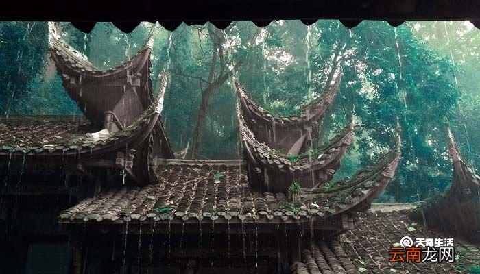 屋漏偏逢连夜雨船迟又遇打头风的意思 屋漏偏逢连夜雨船迟又遇打头风的意思是什么
