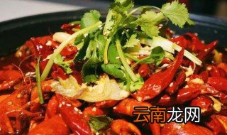 做龙虾怎么做 龙虾的做法