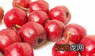 山楂的最佳搭配 有什么功效
