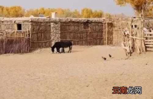 中国最“神秘”的村子，隐藏在沙漠中400多年，却从未被发现