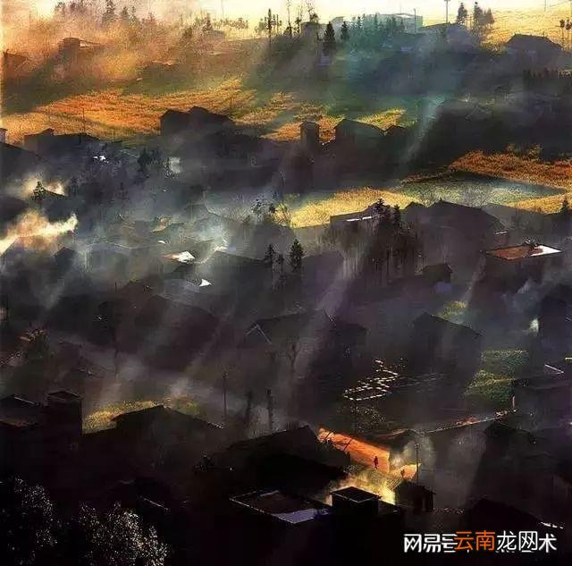 看看人家的构图，这才叫真正的摄影艺术！