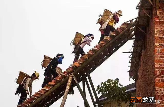 看看人家的构图，这才叫真正的摄影艺术！