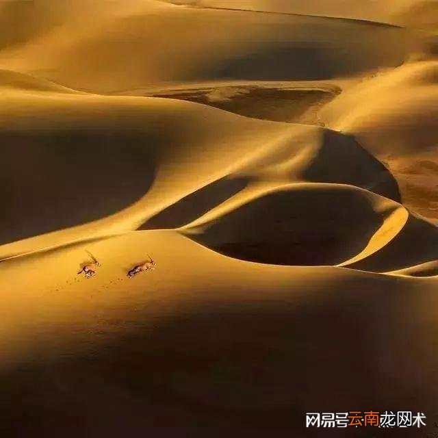 看看人家的构图，这才叫真正的摄影艺术！