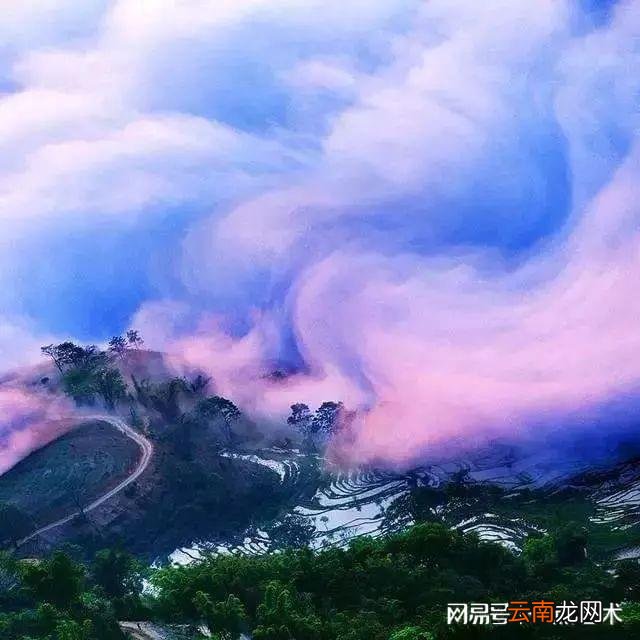看看人家的构图，这才叫真正的摄影艺术！
