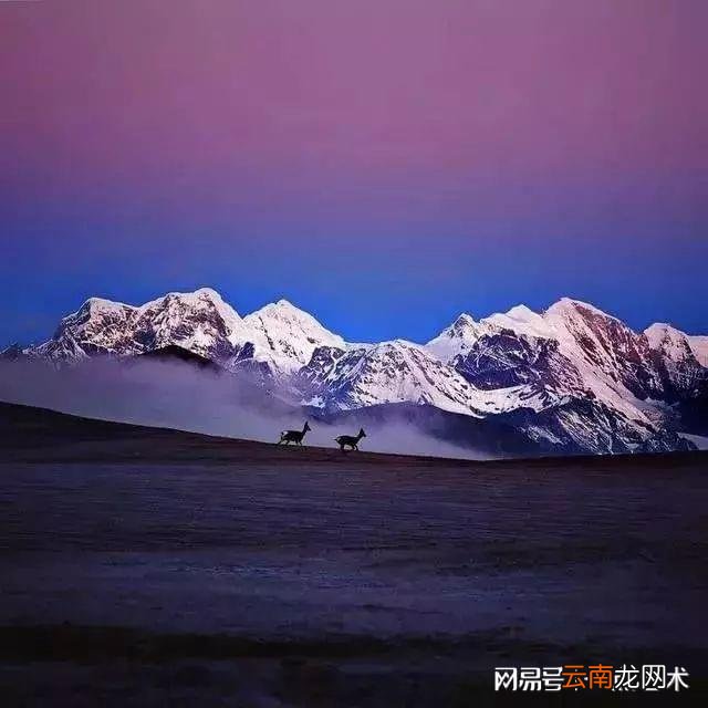 看看人家的构图，这才叫真正的摄影艺术！