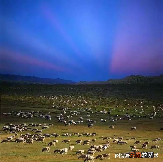 看看人家的构图，这才叫真正的摄影艺术！
