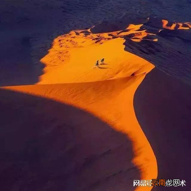 看看人家的构图，这才叫真正的摄影艺术！