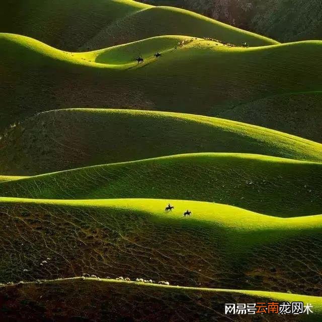 看看人家的构图，这才叫真正的摄影艺术！