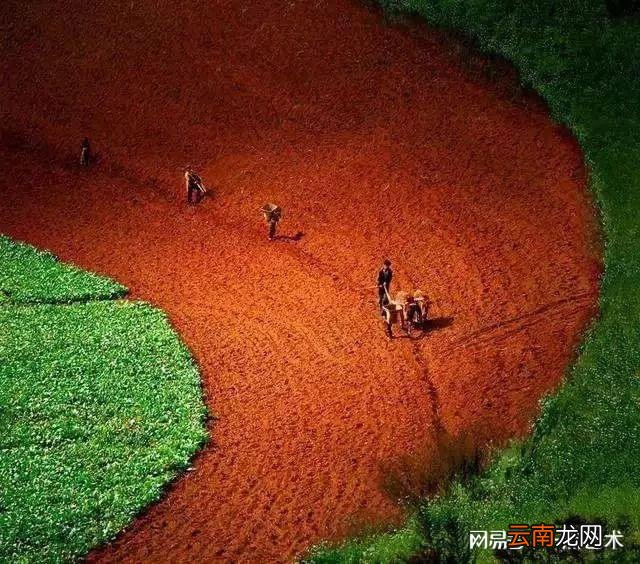 看看人家的构图，这才叫真正的摄影艺术！