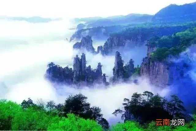 中国八大国家公园，让全世界都惊艳！