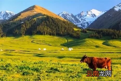 中国八大国家公园，让全世界都惊艳！