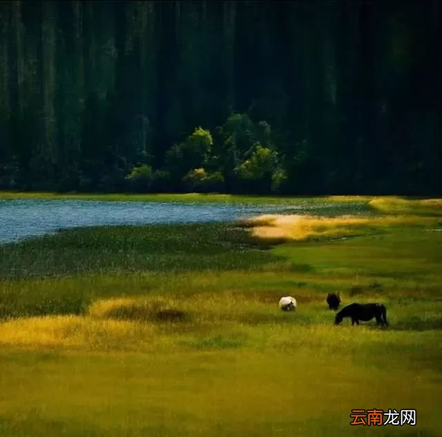中国八大国家公园，让全世界都惊艳！