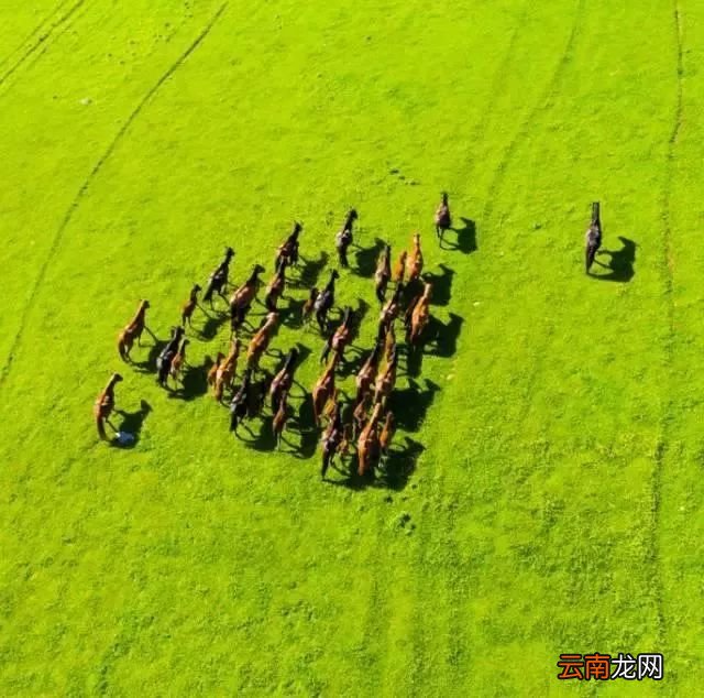中国八大国家公园，让全世界都惊艳！