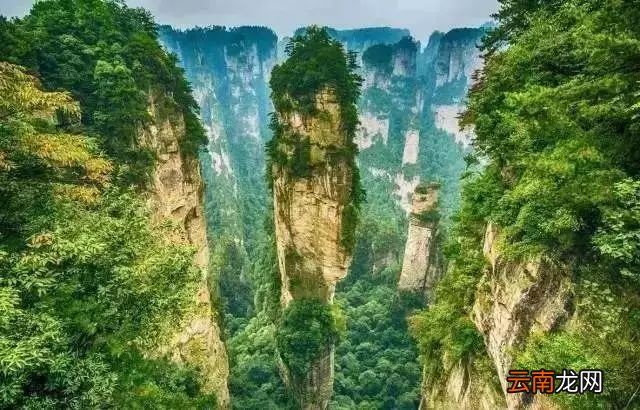 中国八大国家公园，让全世界都惊艳！