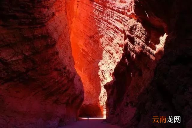 中国八大国家公园，让全世界都惊艳！