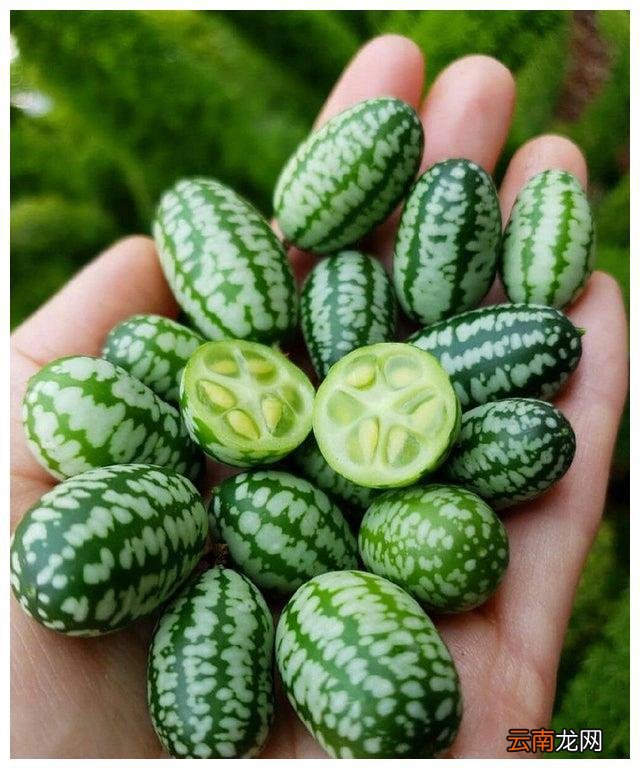 看完这27张图，被大自然的奇妙震撼到了