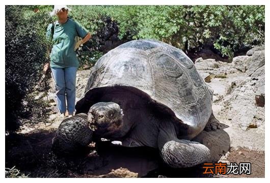 看完这27张图，被大自然的奇妙震撼到了