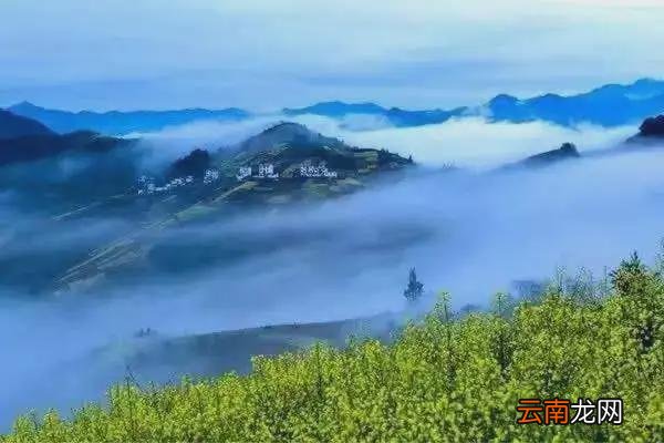 被誉为“云端上的村子”，这才最美的村庄，远离尘嚣，清净优雅~