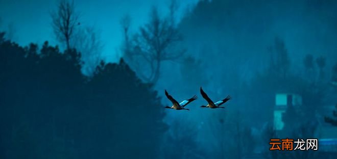 云南冬季最美的地方，每一处都让你流连忘返！