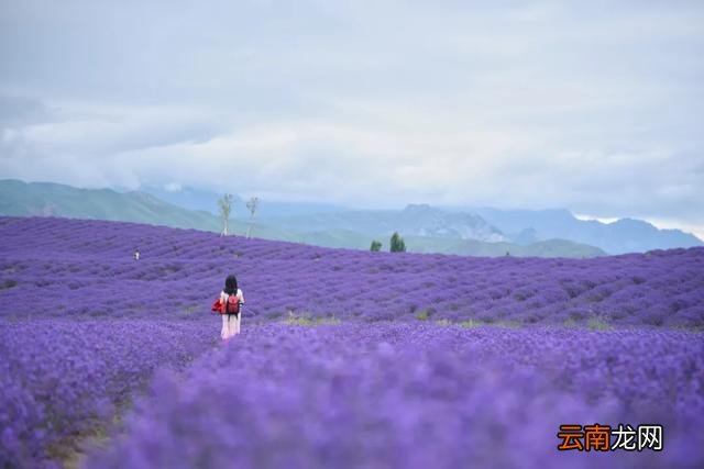 10个旅行目的地，选一个出发吧